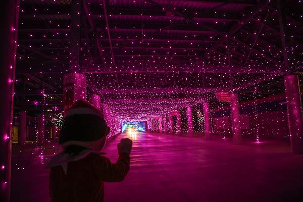 Glittering Lights 2016 ELF