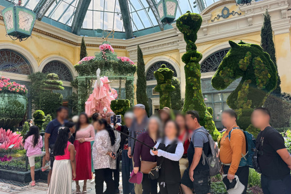 植物園 夏の展示