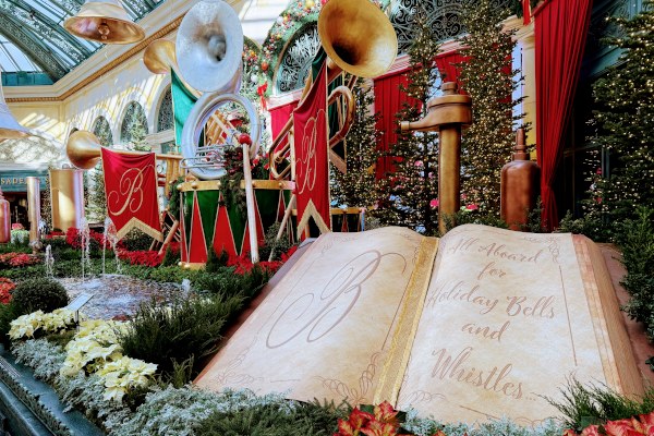 ホリデーシーズンの展示