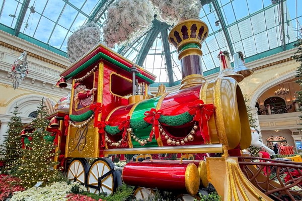 ベラージオエクスプレス