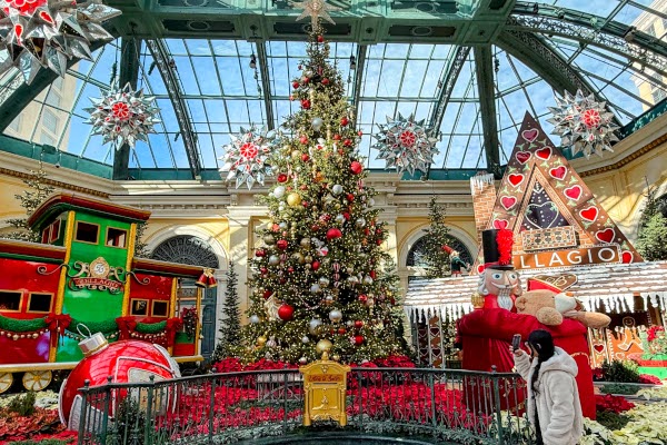 ホリデーシーズンの展示