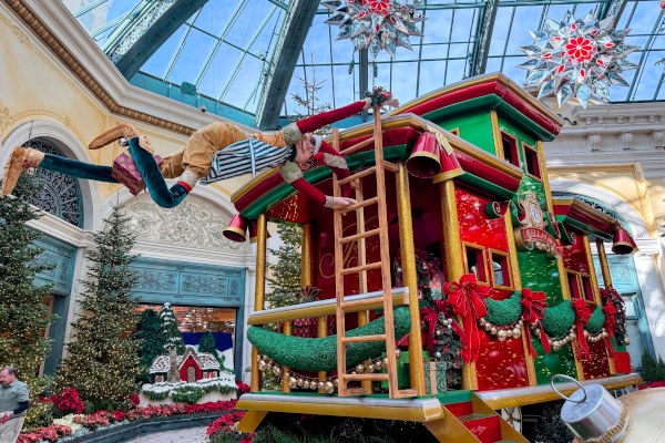 ホリデーシーズンの展示