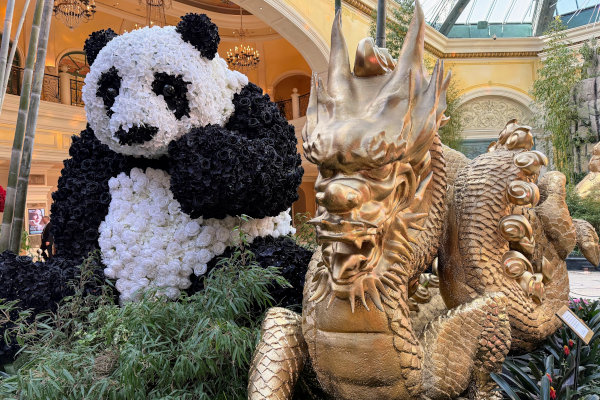 パンダとドラゴン