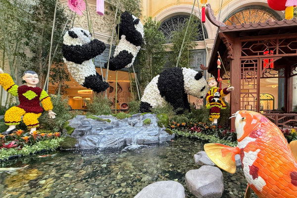 竹林で遊ぶパンダ