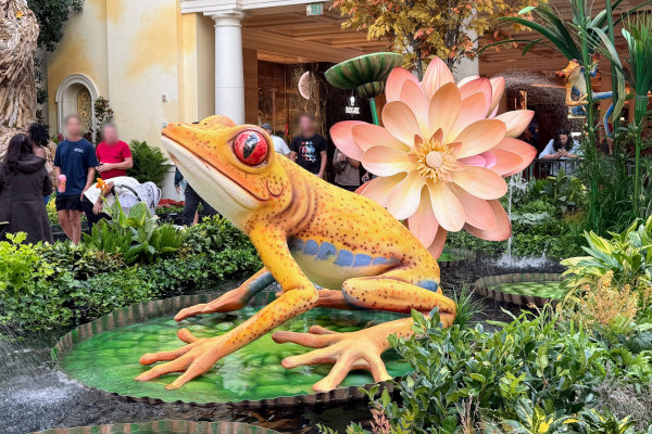 ベラージオ植物園